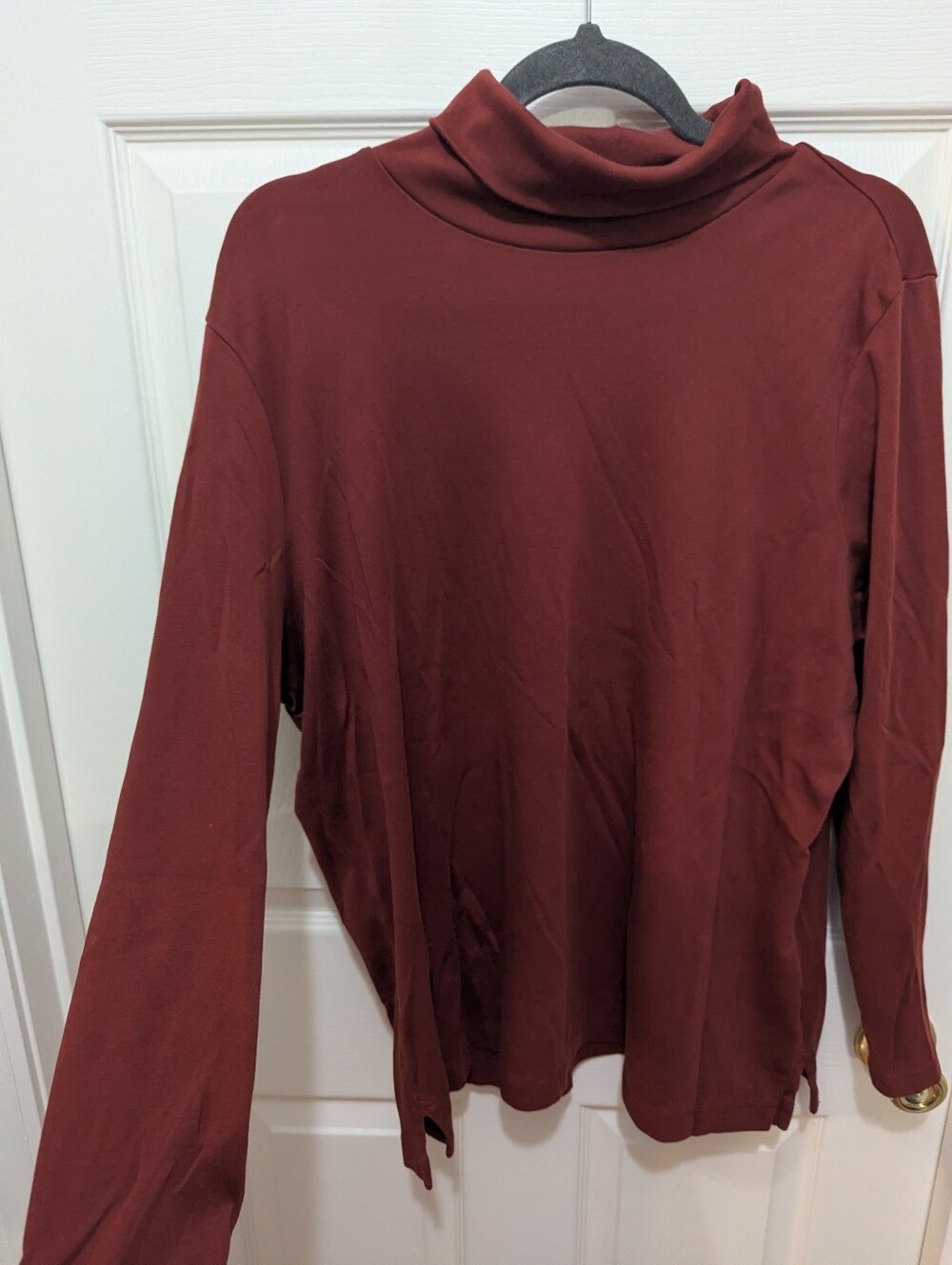 Women's Long Sleeve Turtleneck Top in Rust
